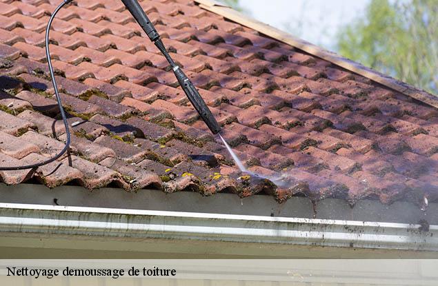 Nettoyage demoussage de toiture  berg-67320 Entreprise WINTERSTEIN  Alsace - vosges