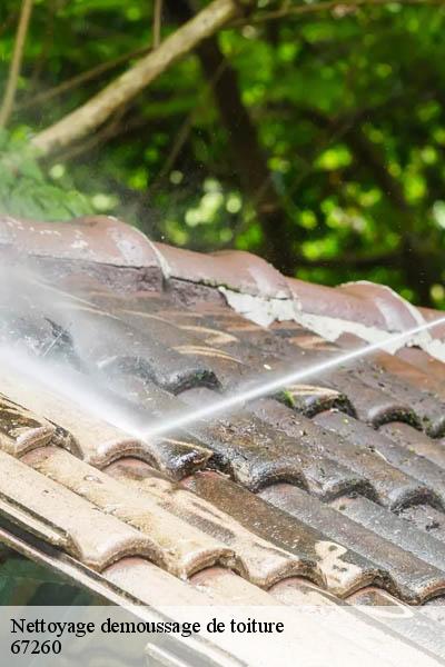 Nettoyage demoussage de toiture  burbach-67260 Entreprise WINTERSTEIN  Alsace - vosges