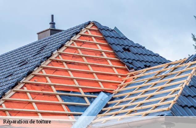 Réparation de toiture  bissert-67260 Entreprise WINTERSTEIN  Alsace - vosges