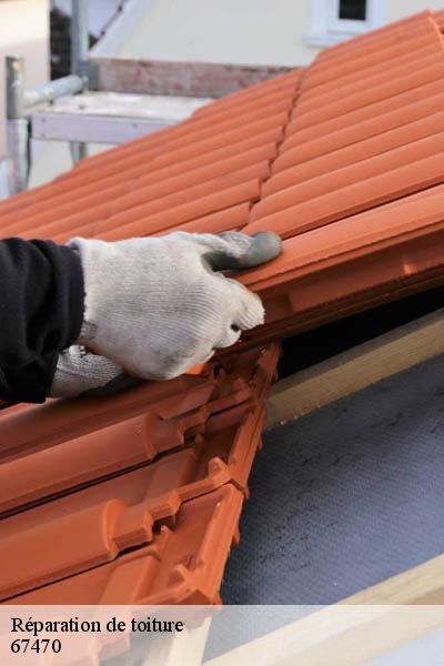 Réparation de toiture  eberbach-seltz-67470 Entreprise WINTERSTEIN  Alsace - vosges