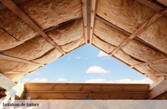 Isolation de toiture  birkenwald-67440 Entreprise WINTERSTEIN  Alsace - vosges